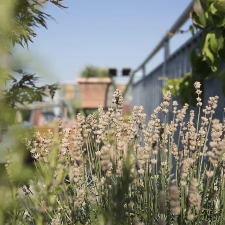 Art Nouveau Am Kurfuerstendamm